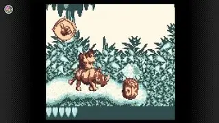 Donkey Kong Land - Nintendo (Gameplay Clips) Switch | Game Boy Color