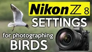 My settings for the Nikon Z8 to photograph birds