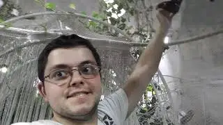 VID 20190403 180559