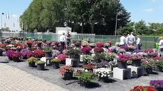 Вебинар: Основы интегрированной защиты цветочных растений