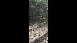 Катеричка1