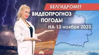 Видеопрогноз погоды по областным центрам Беларуси на 13 ноября 2023 года
