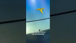 Teal Neon Tesla Car Wrapping #wrap #ppf  #automobile
