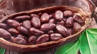 КАКАО | МАСЛО КАКАО