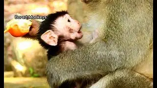 Baby George cry no sound hungry see mom eat food,George upset mom eat food no care him