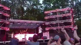 Nibirii Festival 2019 - DnB Forest Compilation (Gourski, Dimension, Camo & Krooked, Pendulum)