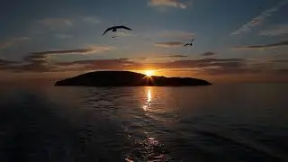 adalar vapuru - istanbul