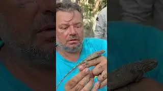 A LENDA DO PAPA VENTO! 
