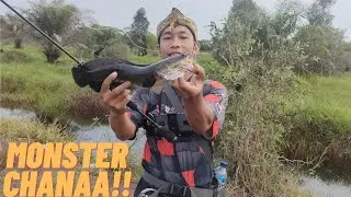 Fishing in the swamp to get a monster cork fish!!!