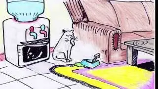 The Y Show   Why do they say Cats have Nine Lives?