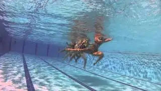 ASEC Synchro - Entrainement 2015 | Synchronized swimming