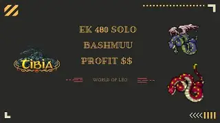 600 K/H PROFIT - EK 480 BASHMUU SOLO