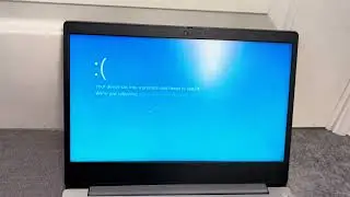 Phoebe chupi has BSOD