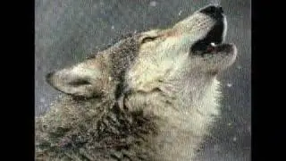 Native Americans - It Will Be So
