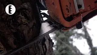 ECHO Chainsaw Spike Blade design increases cutting accuracy. See how it works!