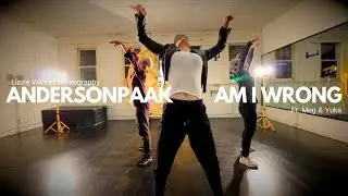Anderson Paak - Am I Wrong: Lizzie Wicks