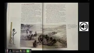 2.3 Homo Habilis