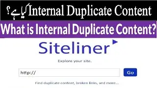 How To Use Siteliner To Find Duplicate Content