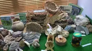 Арефино музей