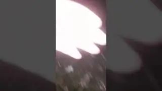 Перекрытие дороги(2)