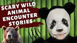 SCARY WILD ANIMAL ENCOUNTER STORIES!