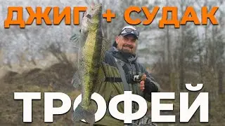 ТРОФЕЙ ВЗЯТ! СУДАК НА ДЖИГ ВЕСНОЙ ПЕРЕД ЗАПРЕТОМ