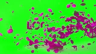 logo intro on green screen