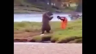Медведь-каратист😀🤣😂