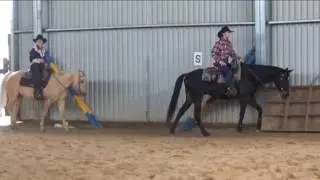 Плежер 24 06