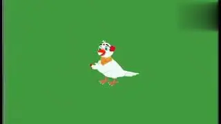 Green screen payra/ কবুতর ভিডিও/green flying payra/green screen cartoon video/green  payra video