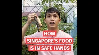 How Singapore’s food is in safe hands, despite Covid-19 | Mothership Tries to Explain...