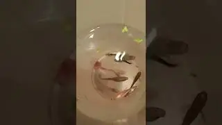 А ЧТО ДЕЛАТЬ 😬🥺😓😥😢