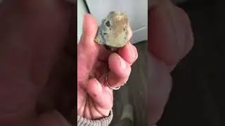 #meteor