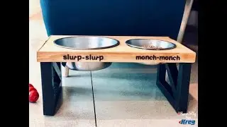 Build a Modern Doggie Feeding Station