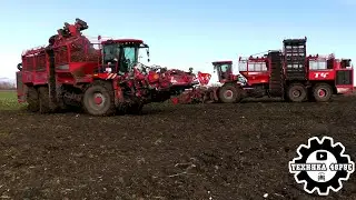 Новые Holmer T4-40 пришли на помощь. Уборка свёклы в Елецком районе. И первое знакомство с комбайном