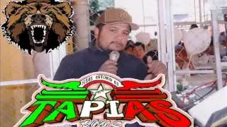 SONIDO TAPIAS BOYS  YO SOY TU MAESTRO EN SAN MIGUEL EL PEDR 2013