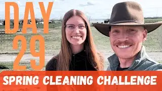 DAY 29 - Spring Cleaning CHALLENGE