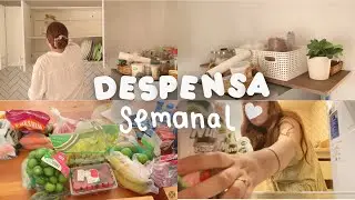RESURTIENDO REFRIGERADOR 🛒🍅Ordenando la Cocina | NUEVA RUTINA SUPERMERCADO