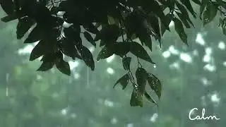 SOOTHING SOUND FOR STUDYING SLEEPING NON STOP FOR 8 HRS