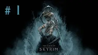 Девичье прохождение игры The Elder Scrolls V: Skyrim. Часть 1.