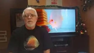 Советы начинающим 10 (Фильтры и фильтрация 2).