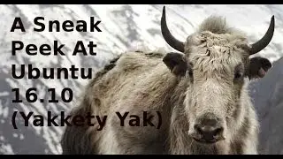 A Sneak Peek At Ubuntu 16.10 (Yakkety Yak)