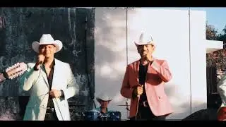 Flor de dalia---los indicados de salamanca