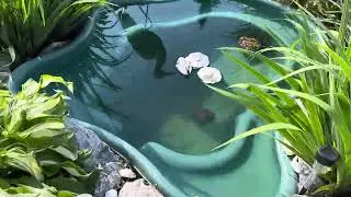 Кто хочет дачу | один день на даче 