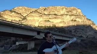 Cecè Barretta - My Way ( cover Frank Sinatra )