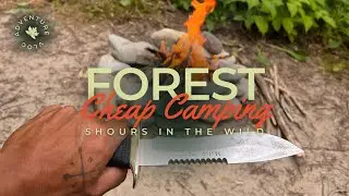 Relaxing Cheap SOLO Camping in the Forest (5 HOURS IN THE WILD)