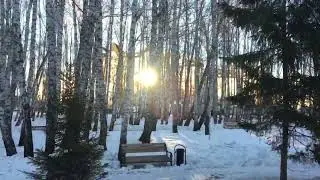 Активная Тюмень
