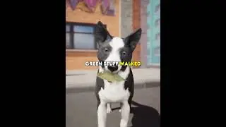 This Dog cracked the system 🐕🍃 