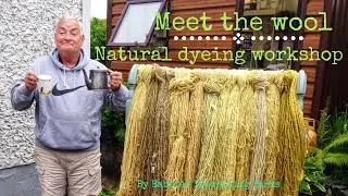 Natural Dyeing workshop with Meet the Wool