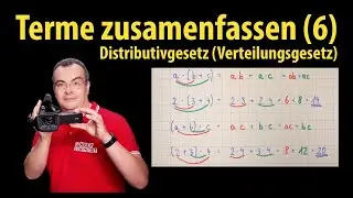 Terme zusammenfassen (6) - Distributivgesetz / Verteilungsgesetz | Lehrerschmidt